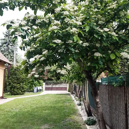 Cs&m Vendeghaz 度假居 *