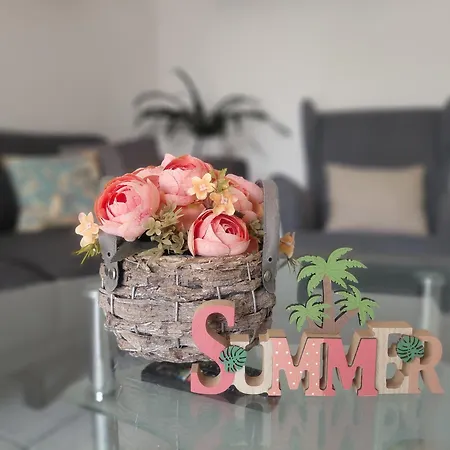 度假居 Cs&m Vendeghaz 根尼斯迪亚斯