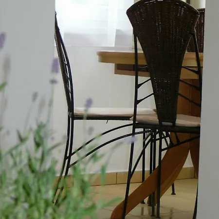 Cs&m Vendeghaz 根尼斯迪亚斯