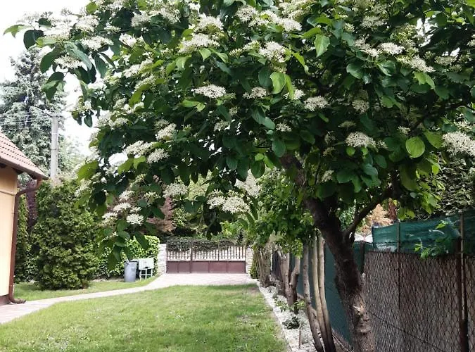 Cs&m Vendeghaz בית נופש *