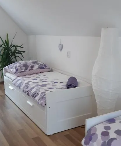 Cs&m Vendeghaz בית נופש *