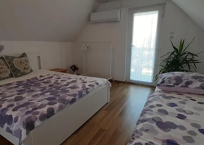 Cs&m Vendeghaz גיינסדיאס