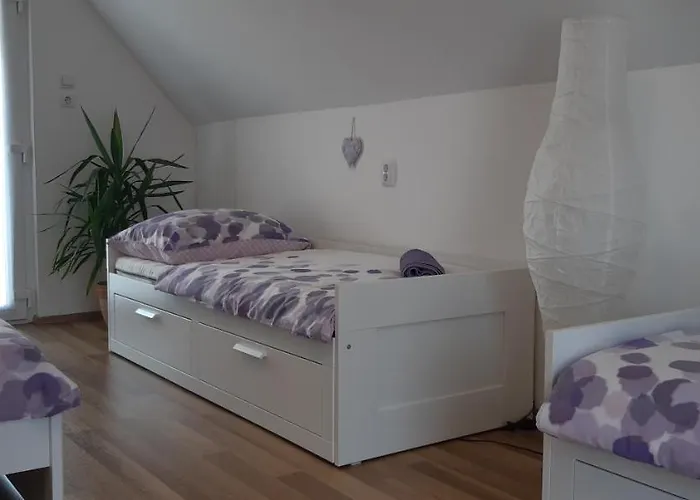 בית נופש Cs&m Vendeghaz *