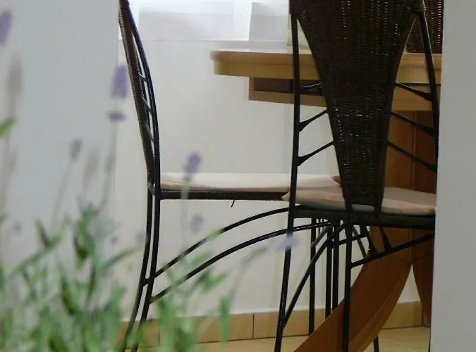 Cs&m Vendeghaz גיינסדיאס